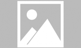 娱乐圈一天吃的最多的瓜,揭秘明星一天狂吃瓜的惊人真相